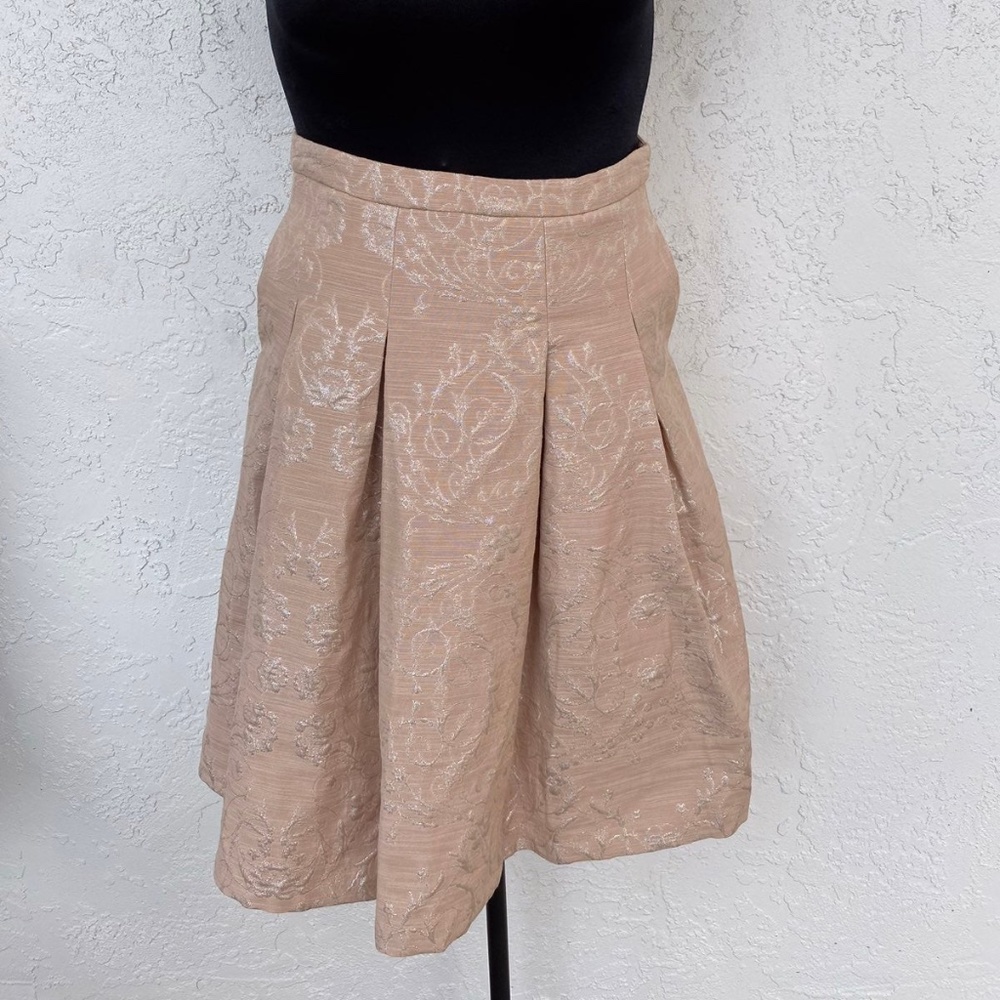 Eva Mendes NYandCompany Skirt